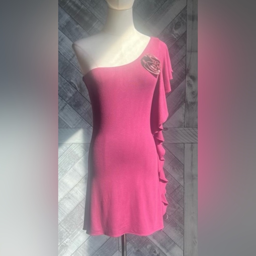 SKY NWT ONE SHOULDER RUFFLE DRESS